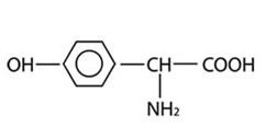D(-)Alpha Parahydroxy Phenyglycine